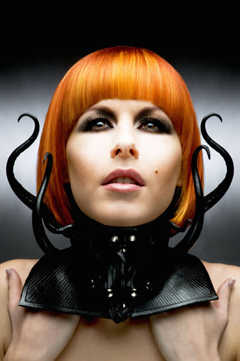 NAHA 2010 "Haircolor" Finalists