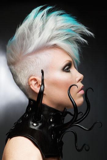 NAHA 2010 "Haircolor" Finalists