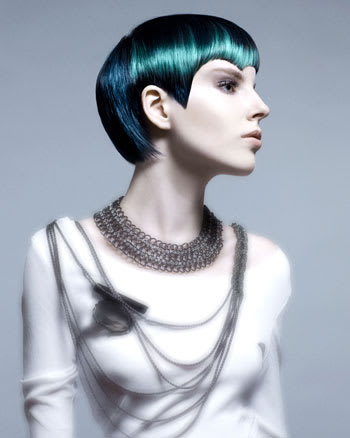 NAHA 2010 "Haircolor" Finalists