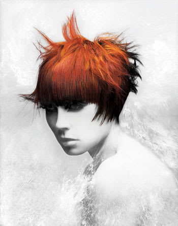 NAHA 2010 "Haircolor" Finalists
