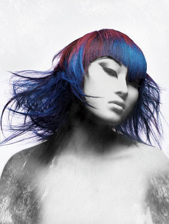 NAHA 2010 "Haircolor" Finalists