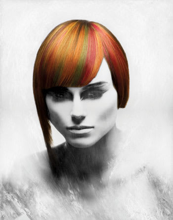 NAHA 2010 "Haircolor" Finalists