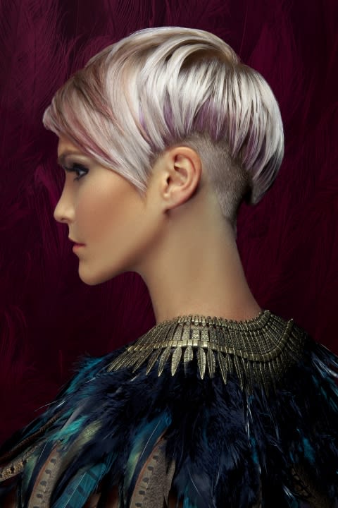 2015 NAHA FINALISTS: Haircolor