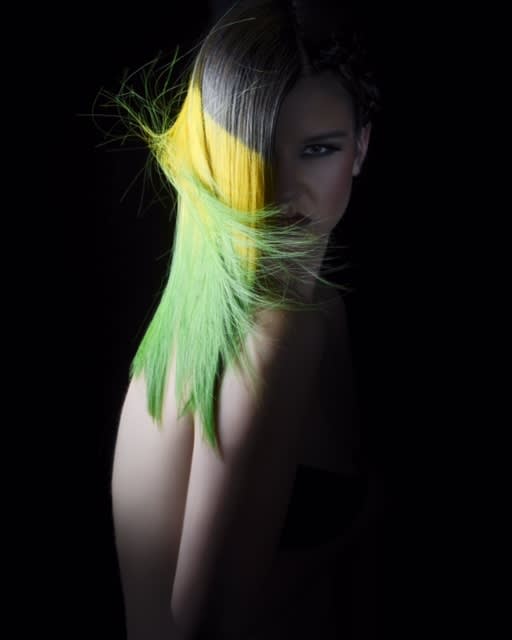 2015 NAHA FINALISTS: Haircolor
