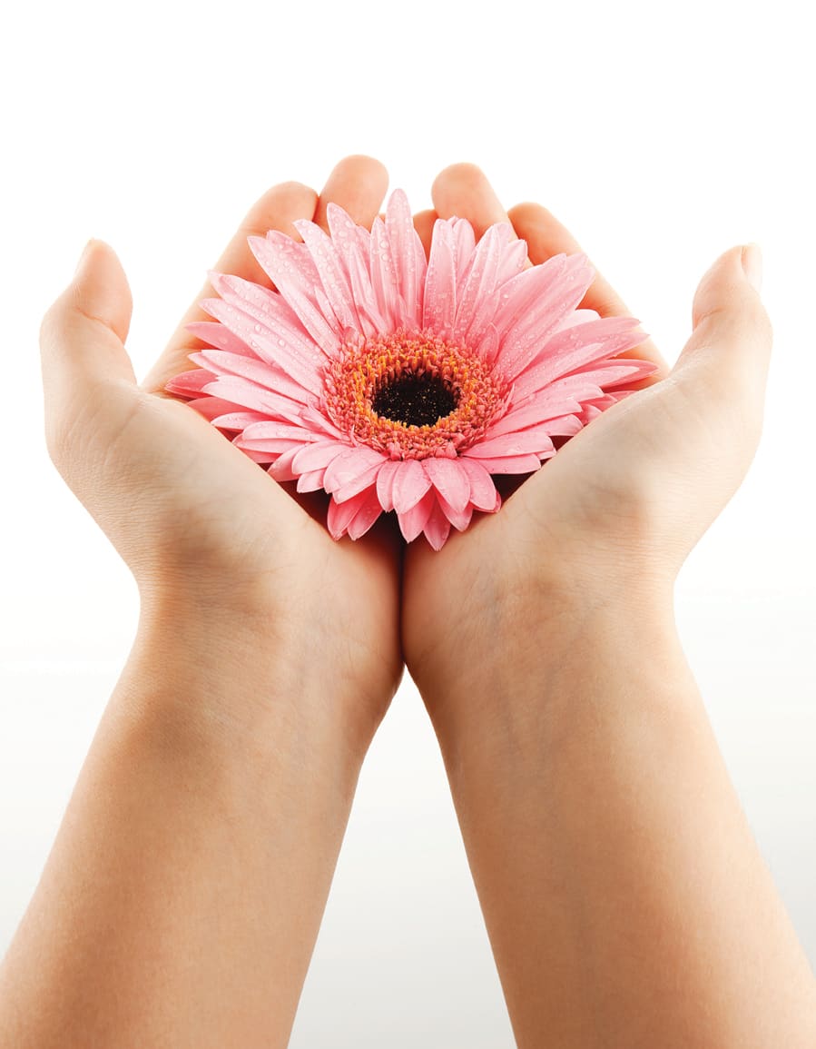 Your Hands, Your Livelihood