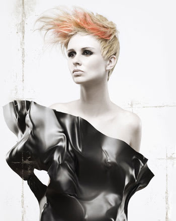 NAHA 2010 "Hairstylist of the Year" Finalists