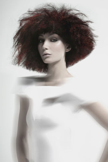 NAHA 2010 "Hairstylist of the Year" Finalists