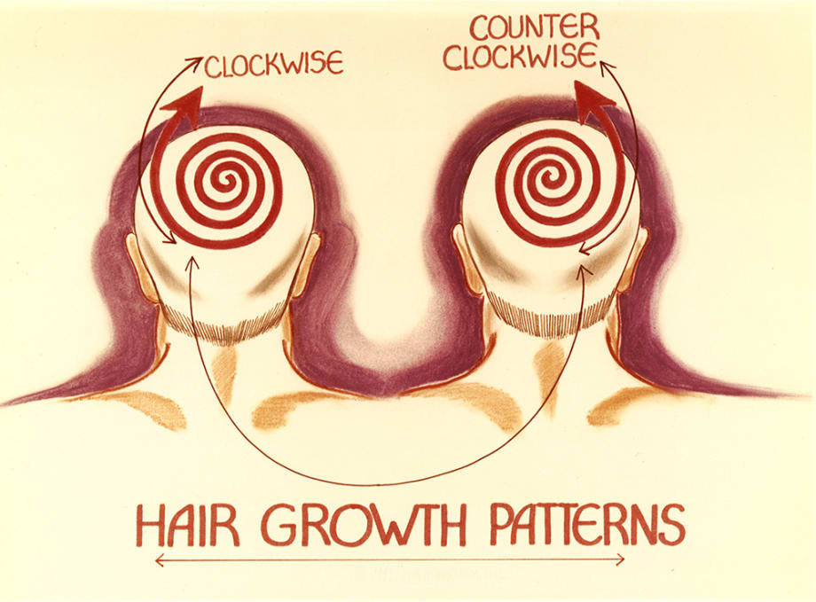 How Hair Growth Patterns, Face Shape and Facial Features Influence Your Male Client's Haircut