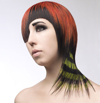 2011 NAHA Finalists - Student Hairstylist