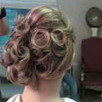 HollyD's Collection