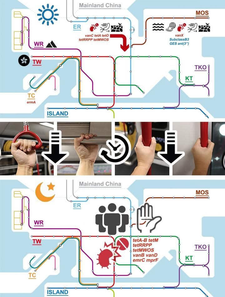  Microbes in Hong Kong subway system mix together by evening rush