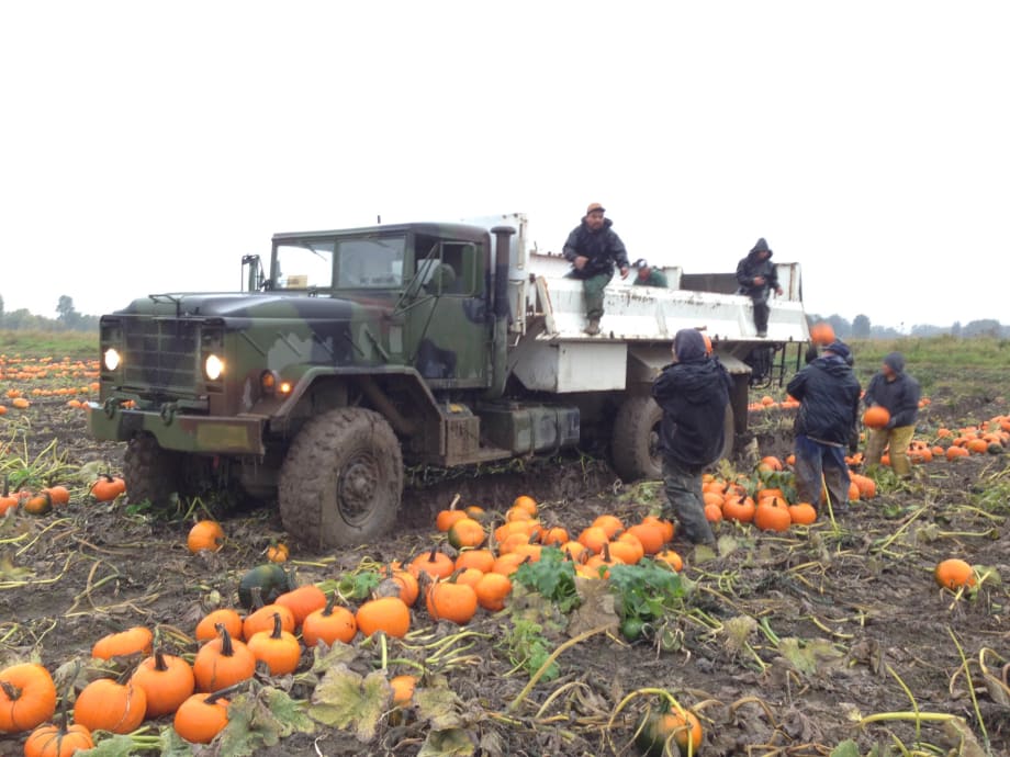 Ex-Military Trucks Find Duties with Civilian Operators