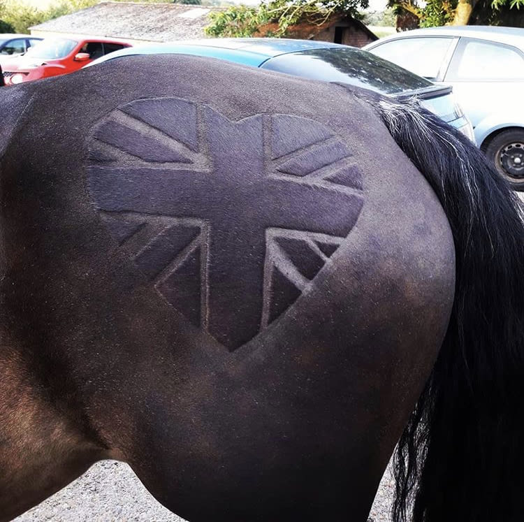 Meet The Horse Barber Melody Hames Who Has Changed the Face of Equestrian Clipping