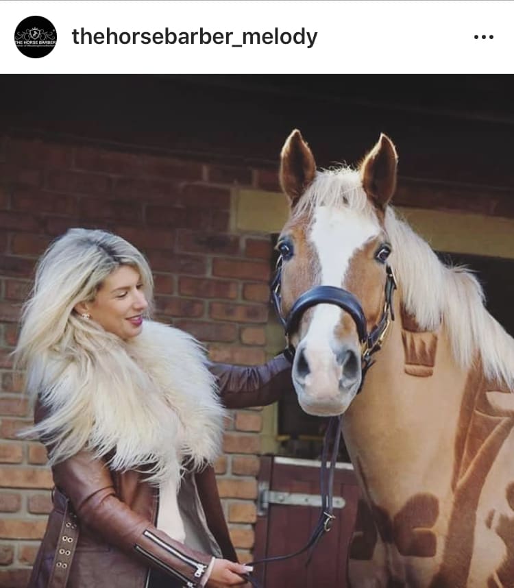 Meet The Horse Barber Melody Hames Who Has Changed the Face of Equestrian Clipping