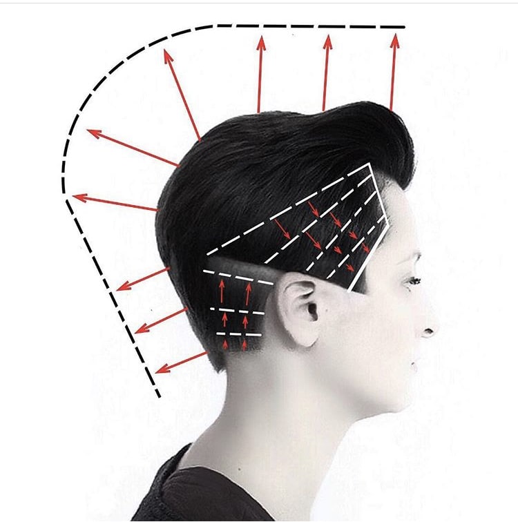 Bobs, Pixies, Disconnection: Precision Hair Cuts Plus Head Sheets