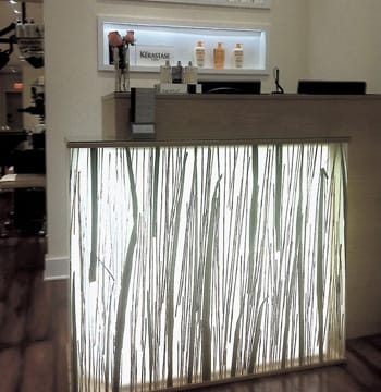 Salon of Distinction: 27 Hampton Salon