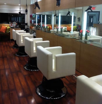 Salon of Distinction: 27 Hampton Salon