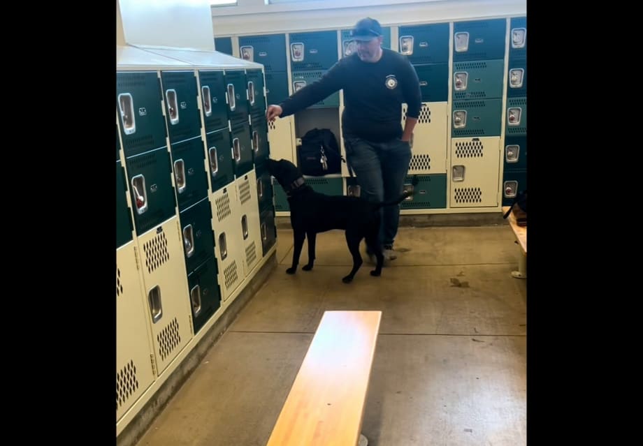 Innovating School Security