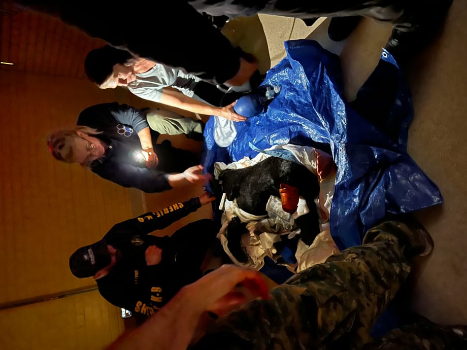 Zeus’ First Electric Work Trucks Are Designed for Utilities