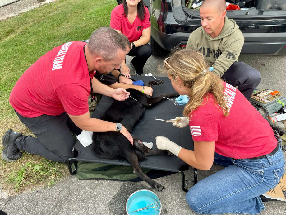 Focus on K9 First Aid
