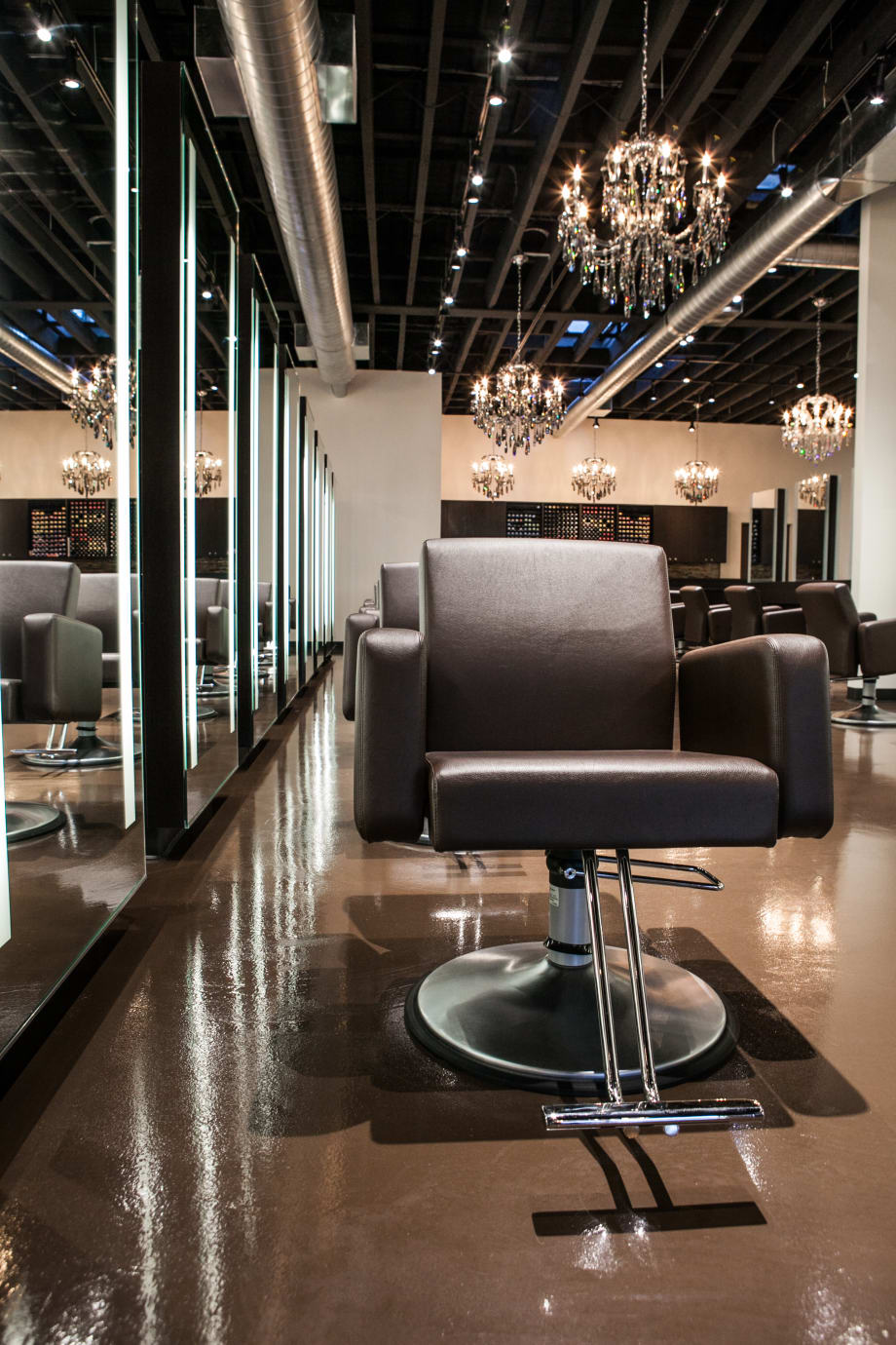 SOTY 2015: Erika Cole Salon & Spa