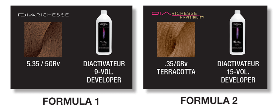 HOW-TO: Rich Brunette with Dimension as Seen on Supermodel Alessandra Ambrósio