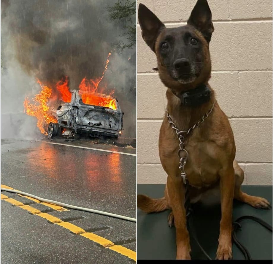 Alabama Deputy Rescues K-9 Partner from Burning Patrol Vehicle