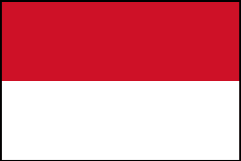 Overview: Indonesian Fleet Market