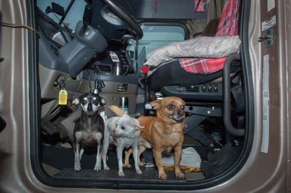 Photographer Captures 6 a.m. at a Nashville Truckstop