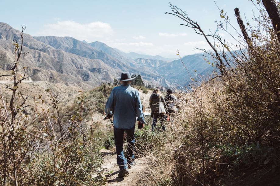 Tea Tree Hair Care Speaks for the Trees: A Pledge to Plant 750,000 Trees by End of 2019