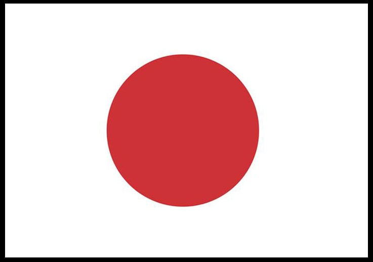 Overview: Japanese Fleet Market