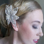 Jayne Chillo's Collection