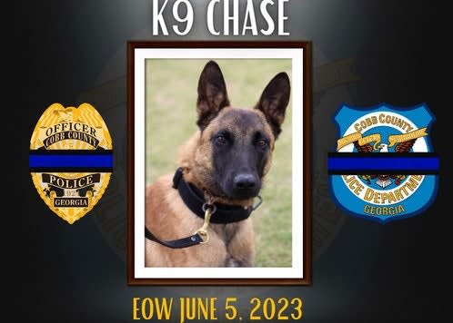 GA K-9 Dies in Hot Car After Air Conditioning Fails