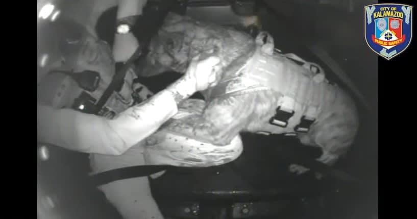 Michigan K-9 Stabbed in Throat with Box Cutter, Suspect in Custody