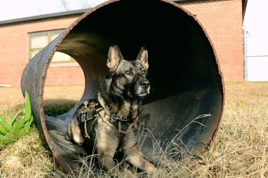 Embracing Technology to Reduce Police Fleet Emissions 