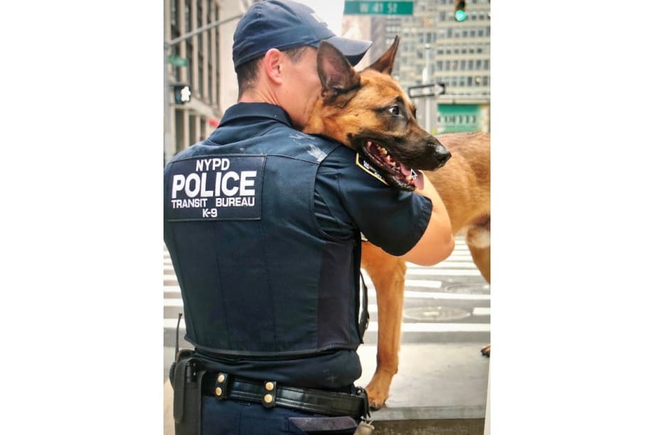 New York City Dog Museum Features Photo Exhibit of NYPD K-9s