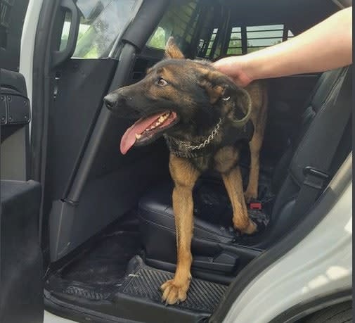 FL Agency Recovers Lost K-9
