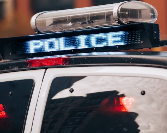 Georgia Agency Adds Tech to Protect Police K-9s in Hot Cars