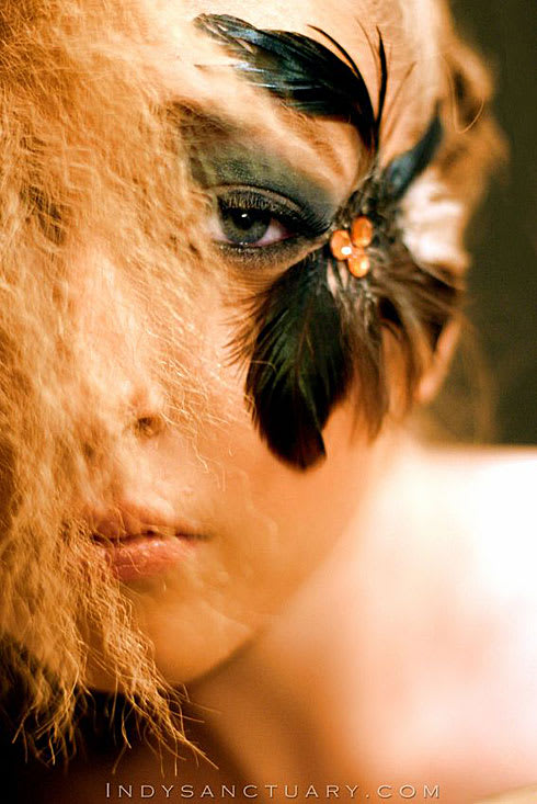Kathy Jones' Collection