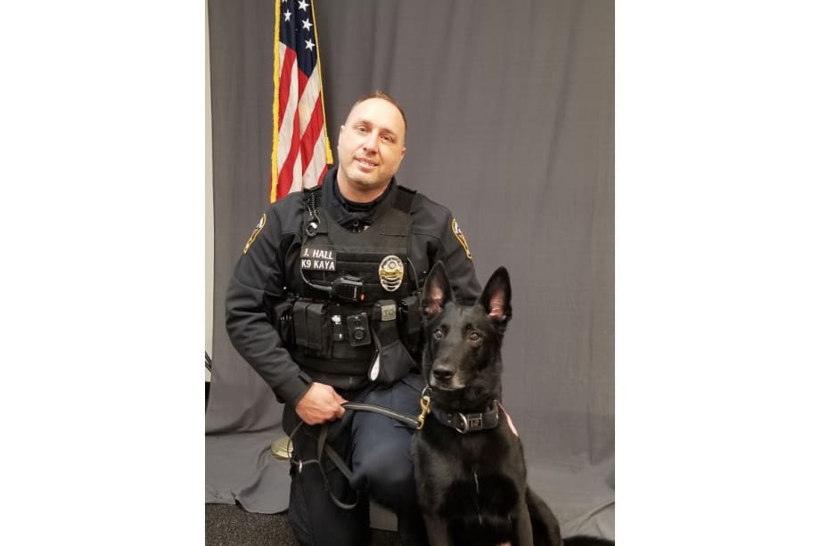Ohio K-9 Fatally Struck by Vehicle