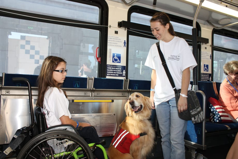 Training is for the dogs