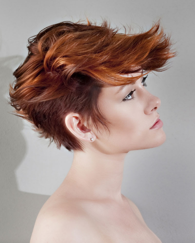 Duane Korb Hair Collection