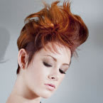 Duane Korb Hair Collection