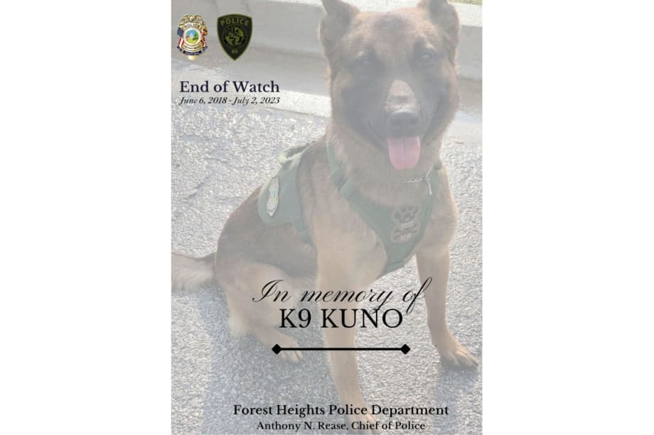 Maryland K-9 Dies After Medical Emergency During Search