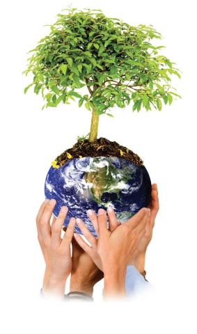 Fleet Management Companies Offer Green Initiative Programs