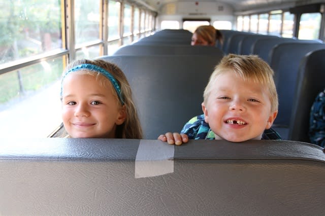 Capturing a snapshot of your industry