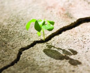 Hope in Sight for High-Risk Tiers