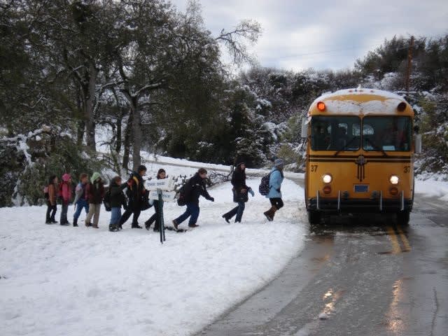 School bus driver’s Christmas poem shares safety message