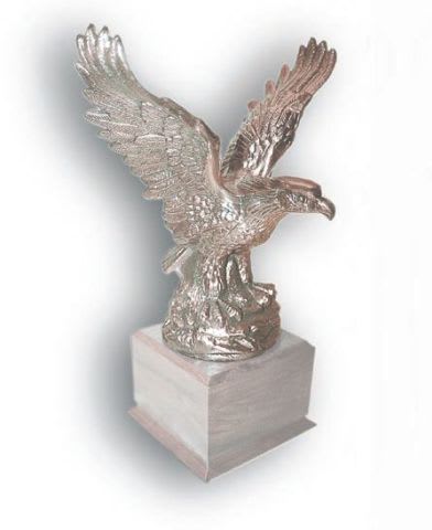 3 Finalists Selected for AF's 2009 Professional Fleet Manager of the Year