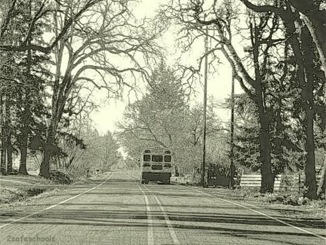 6 of 9 danger zone deaths were by other vehicle